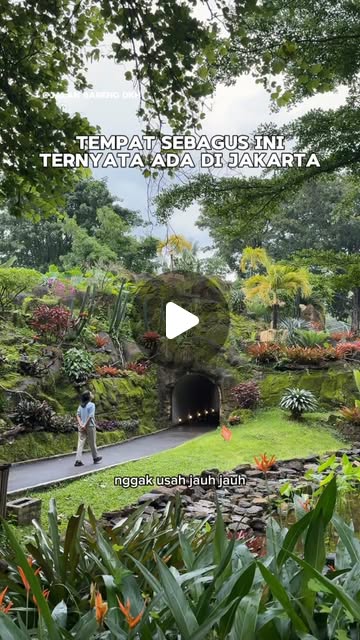 Jagat Satwa Nusantara