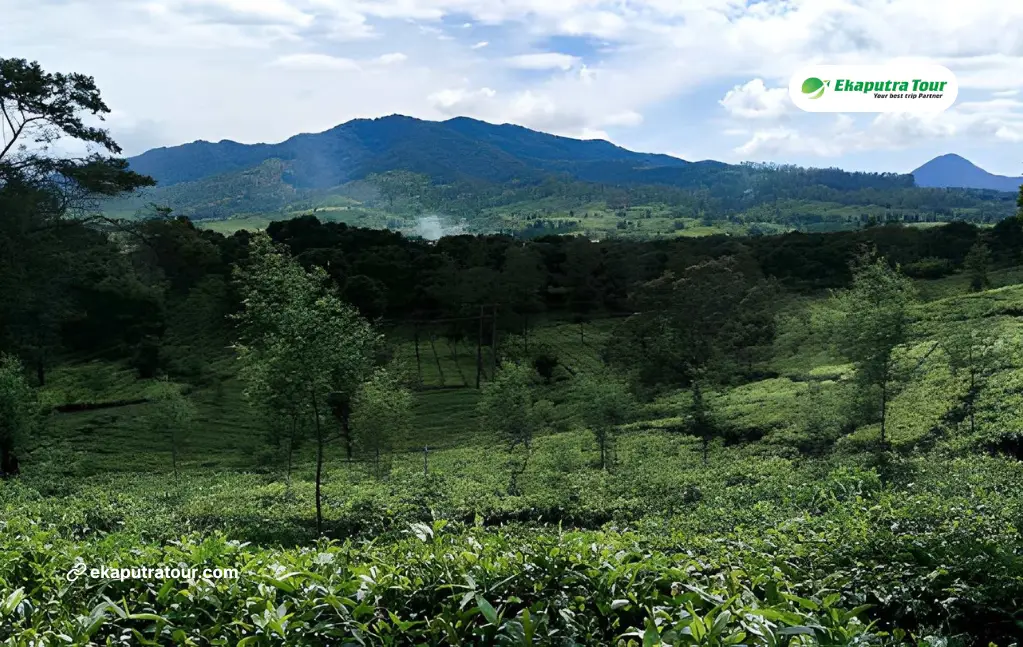 Bandung in One Day: What to See If You Only Have 24 Hours