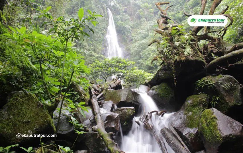Cikaracak Waterfall: Complete Guide to Bogor's Hidden Rainforest Gem Near Jakarta