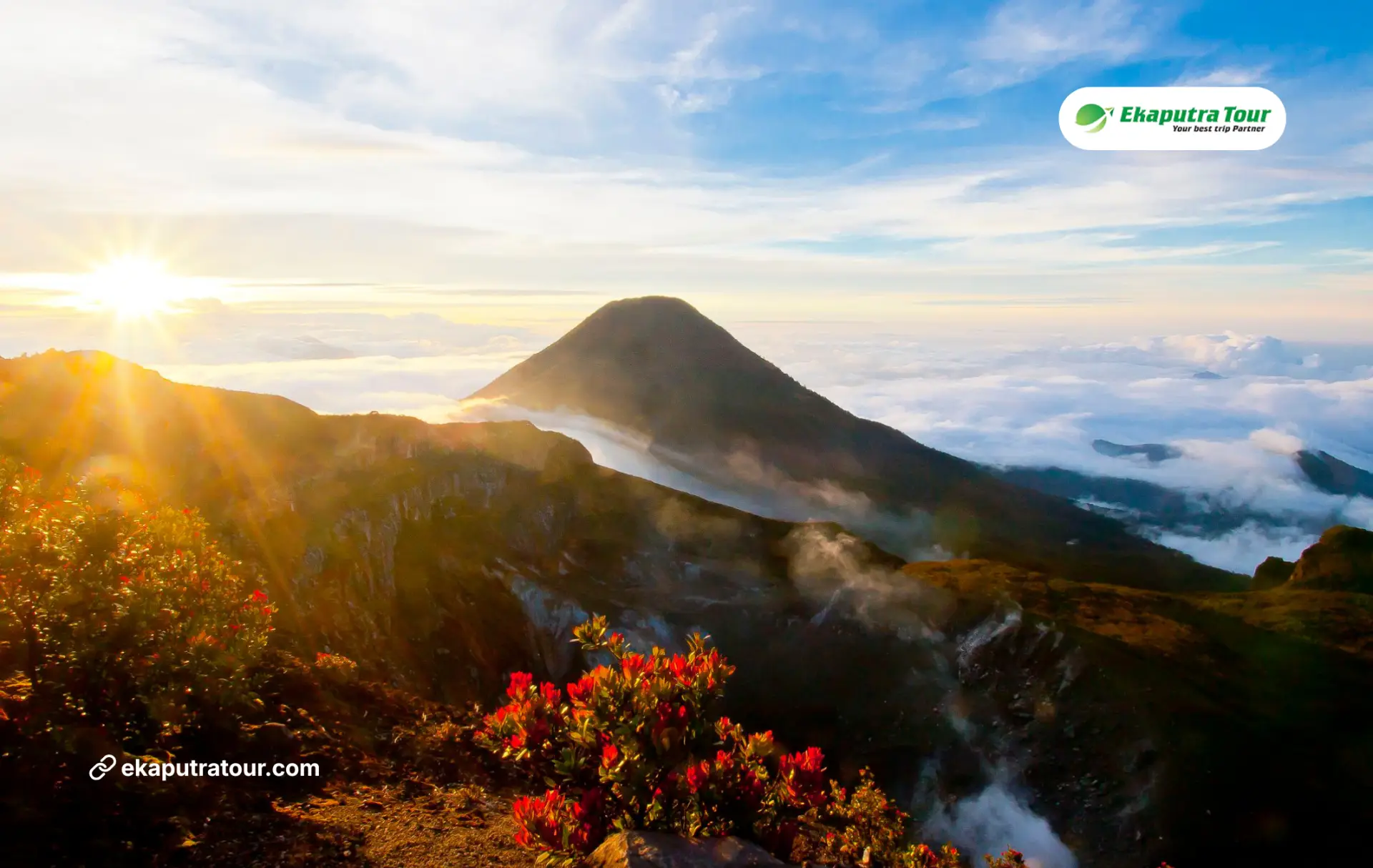 Gunung Gede Pangrango: Hiking and Nature Day Trip from Jakarta