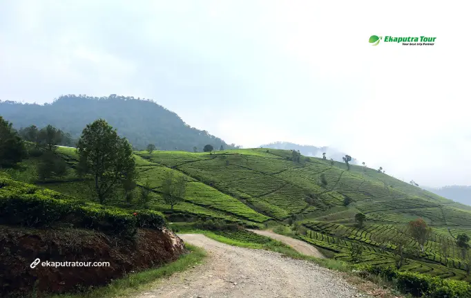 Jakarta to Bandung Weekend Trip: How to Plan It