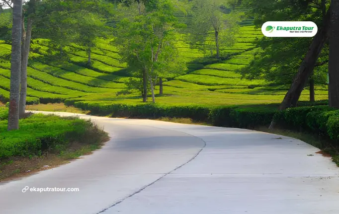 Scenic Places Near Jakarta for a Refreshing Day Trip