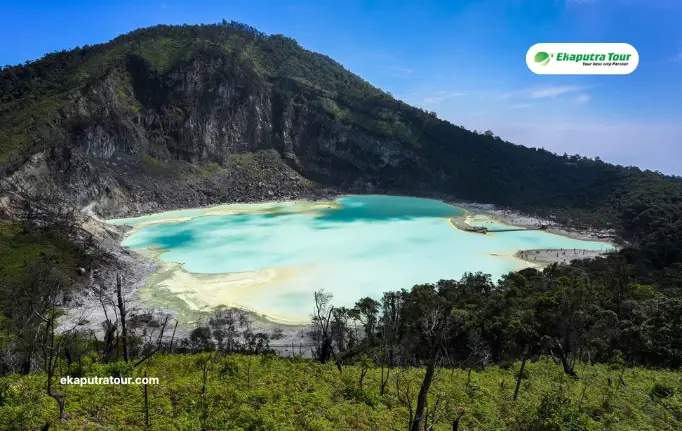 West Java Nature Guide: Volcanoes, Hot Springs, and Tea Plantations
