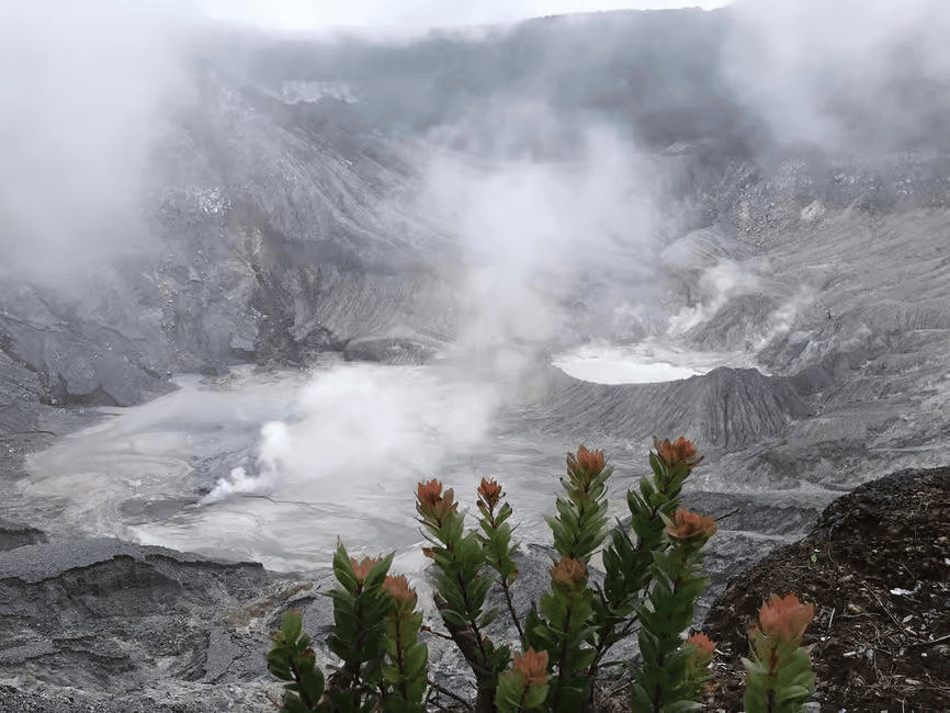 Volcano Rice Packge Active Volcano, Rice Field, Hot Spring, Fruit Market, Tea Plantation ...