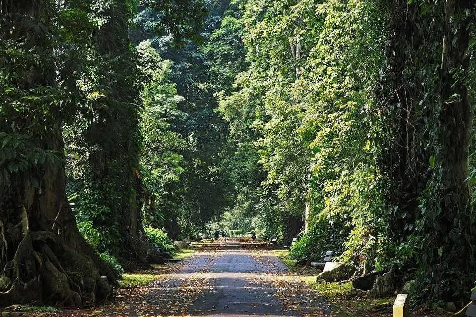 destination