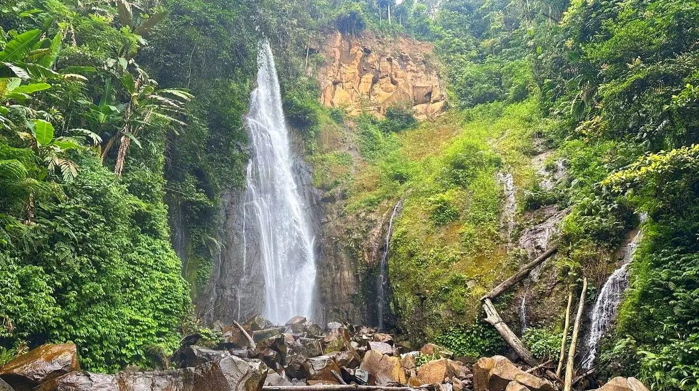 Jakarta: Kebun Raya & Pendakian Hutan Hujan ke Air Terjun Tersembunyi