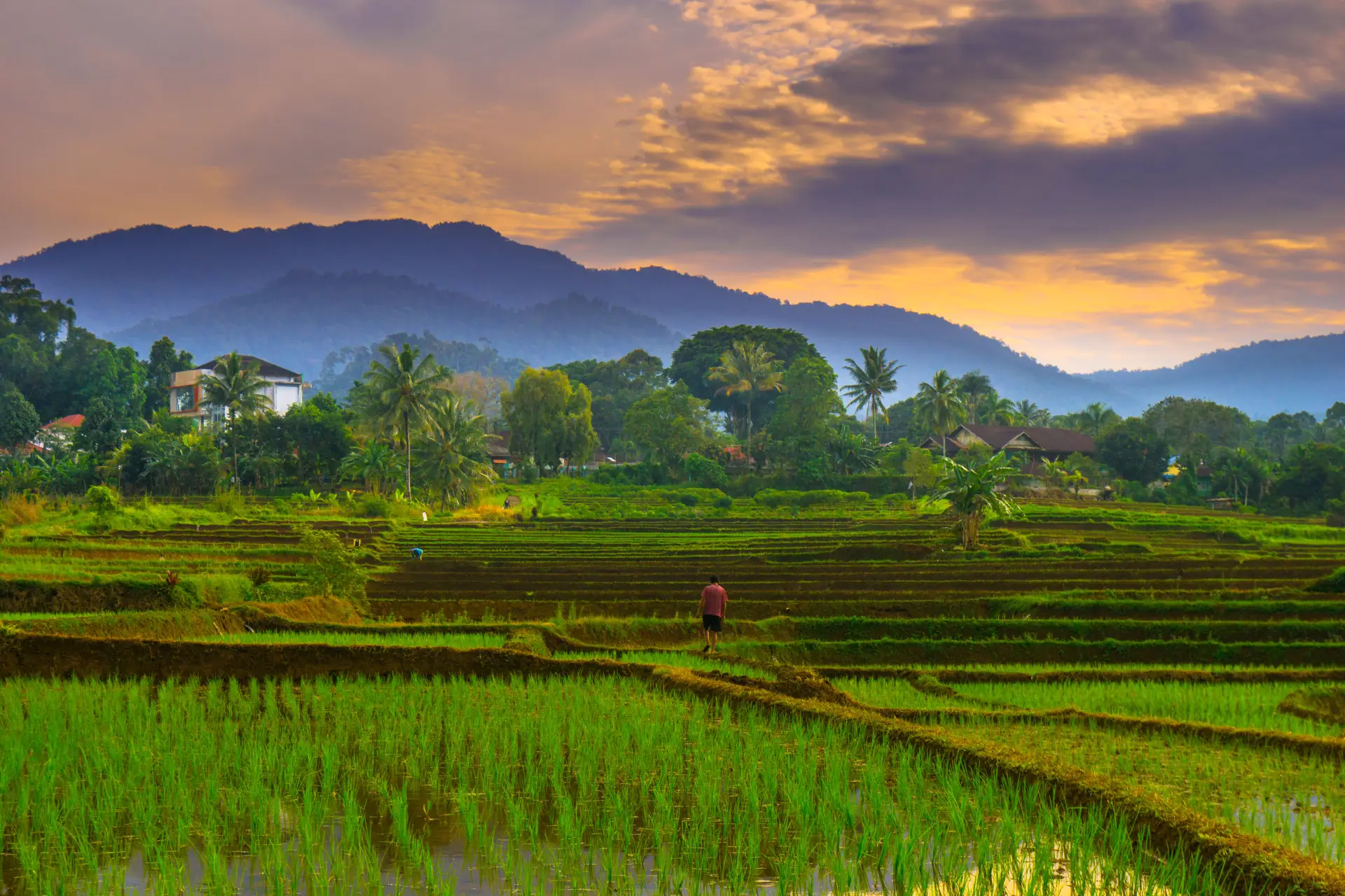 destination
