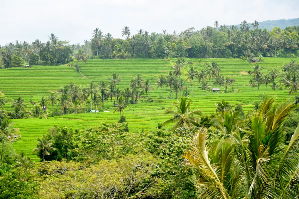 Jakarta – Bandung 5 Days