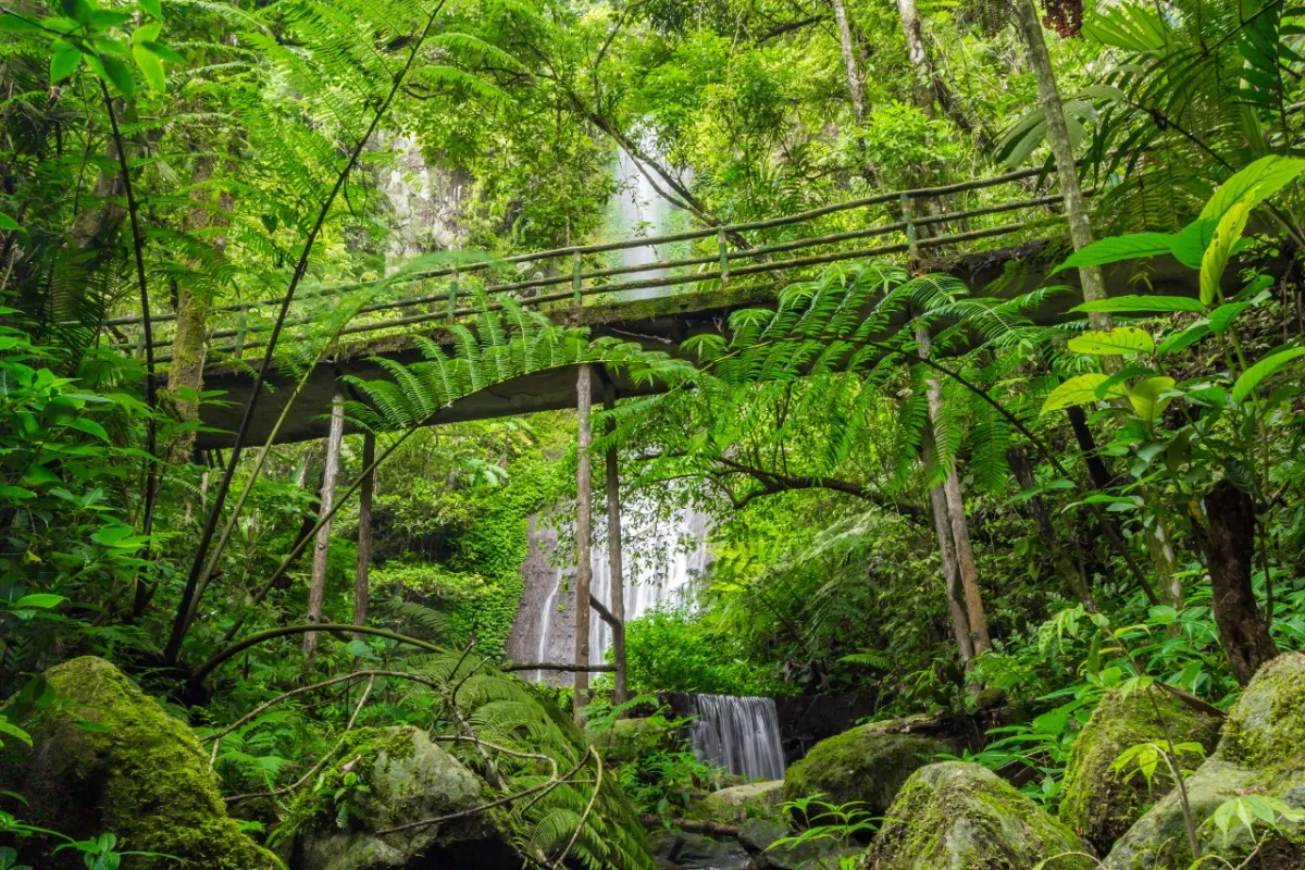 Jaksa Waterfall: Hidden Gem on Your Safari Day Trip - Ekaputra