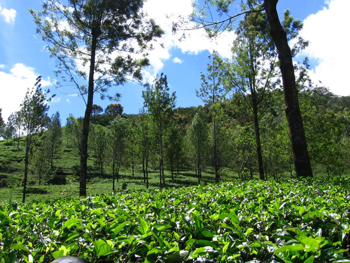 6 Best Day Trips from Jakarta: Explore Stunning Destination - Ekaputra