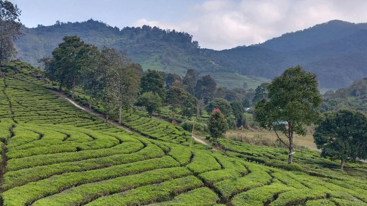 Family-Friendly Nature Escapes Near Jakarta for a Relaxing Day Out - Ekaputra