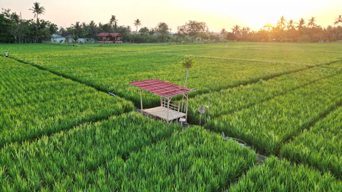 Jakarta to Bandung Day Trip: What to See & How to Plan It - Ekaputra