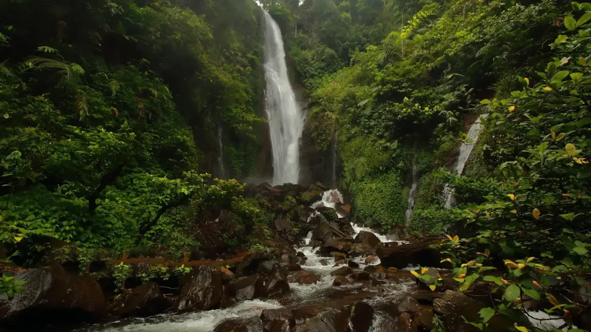 Best Nature Getaways from Jakarta for a Weekend Trip (Under 3 Hours) - Ekaputra