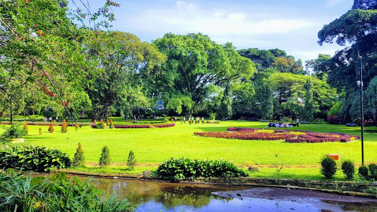Rainforest Adventures Near Jakarta You Didn't Know Existed - Ekaputra