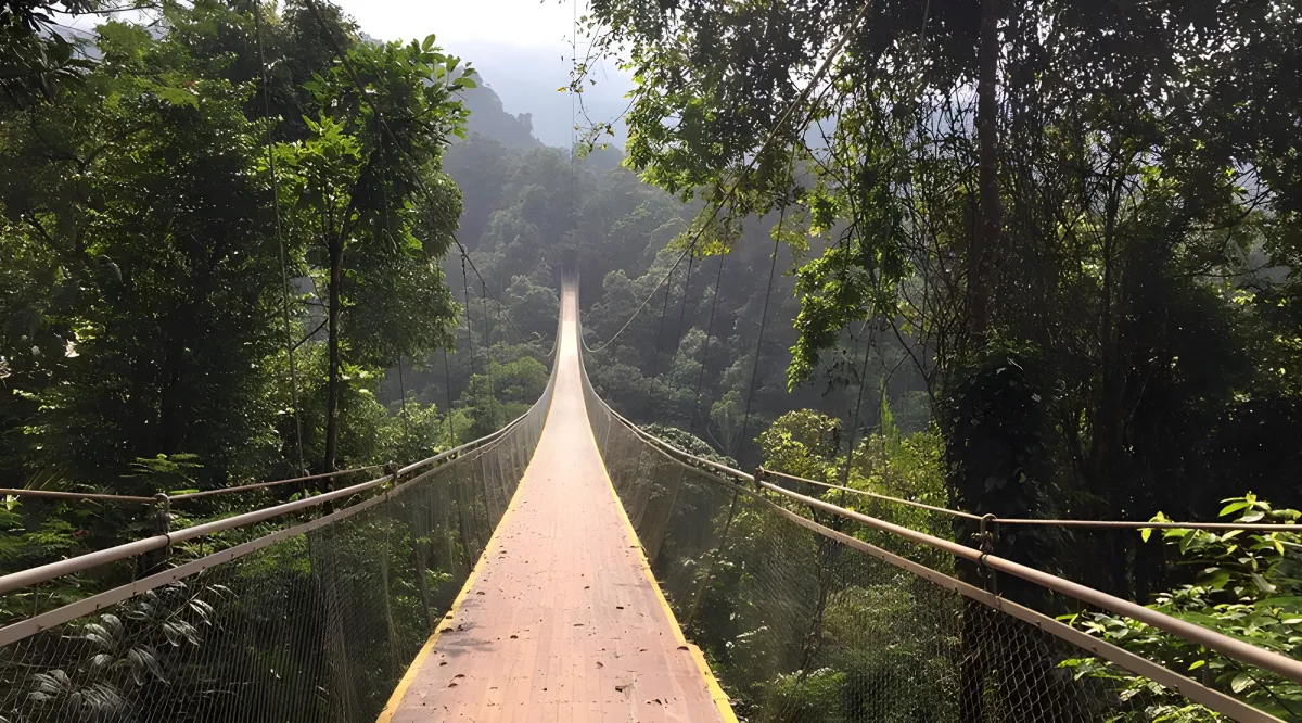 Situ Gunung Suspension Bridge: Complete Guide from Jakarta - Ekaputra