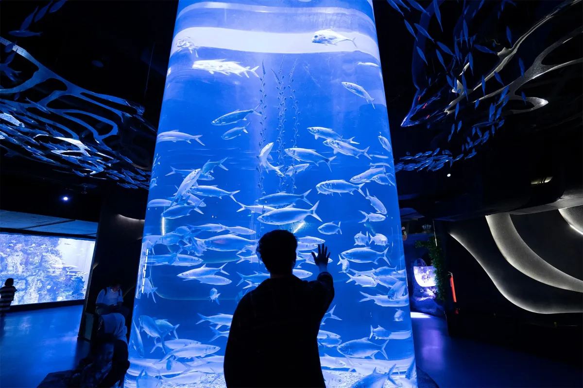 Jakarta Aquarium and Safari: Indoor Marine Experience Guide - Ekaputra