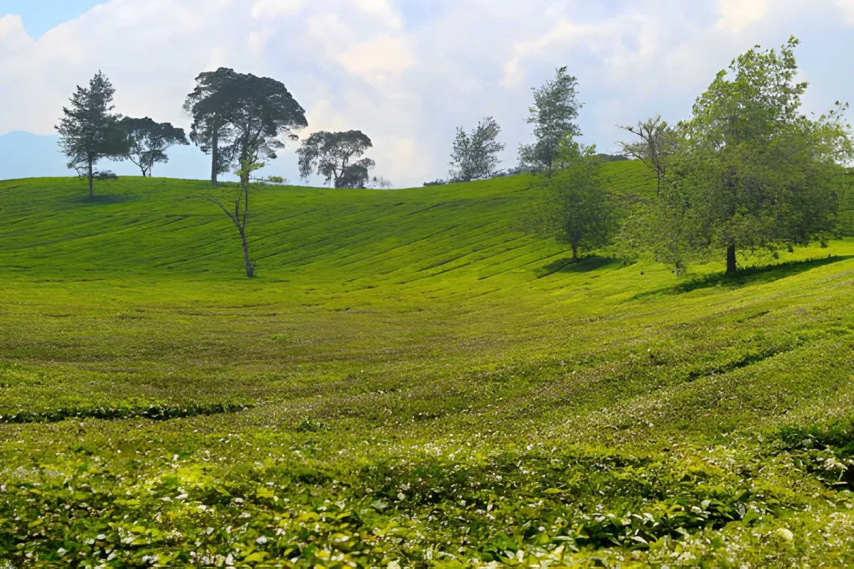 Bandung in One Day: What to See If You Only Have 24 Hours - Ekaputra