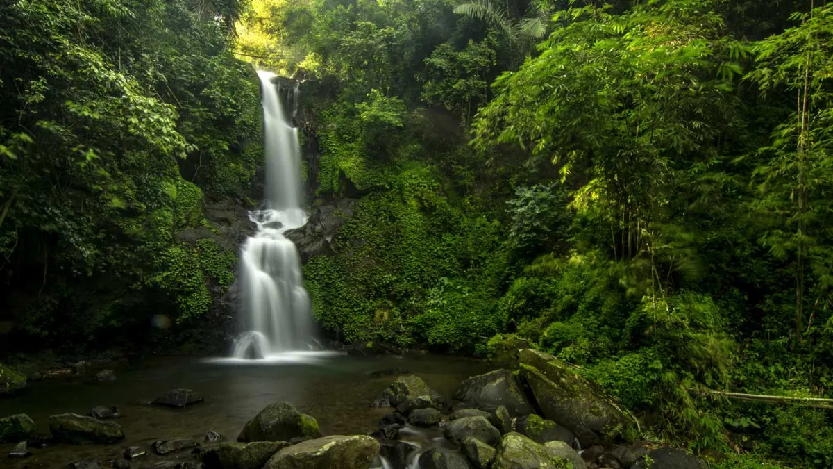 Best Nature Getaways from Jakarta for a Weekend Trip (Under 3 Hours) - Ekaputra
