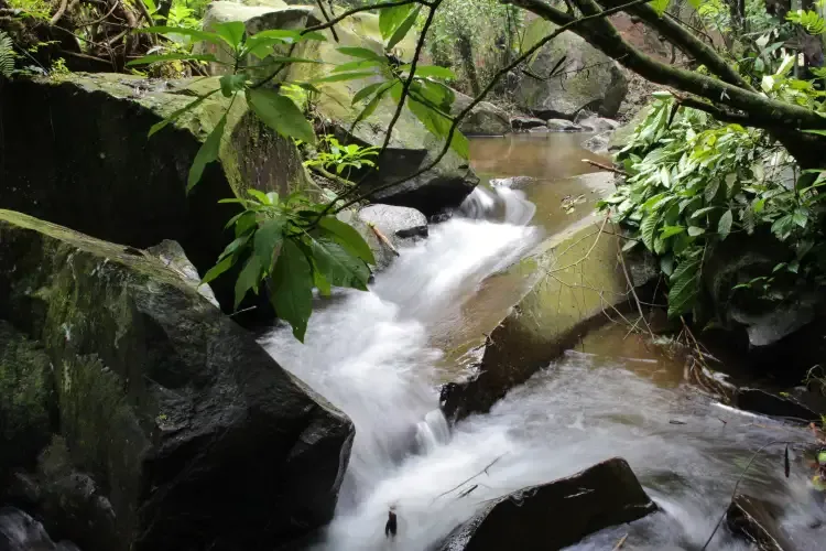 Cikaracak Waterfall: Complete Guide to Bogor's Hidden Rainforest Gem Near Jakarta - Ekaputra