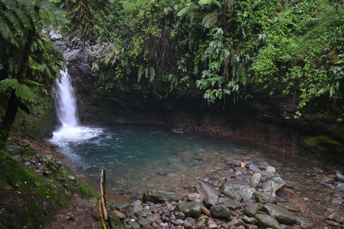 Rainforest Adventures Near Jakarta You Didn't Know Existed - Ekaputra