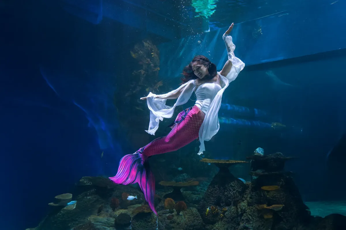 Jakarta Aquarium and Safari: Indoor Marine Experience Guide - Ekaputra