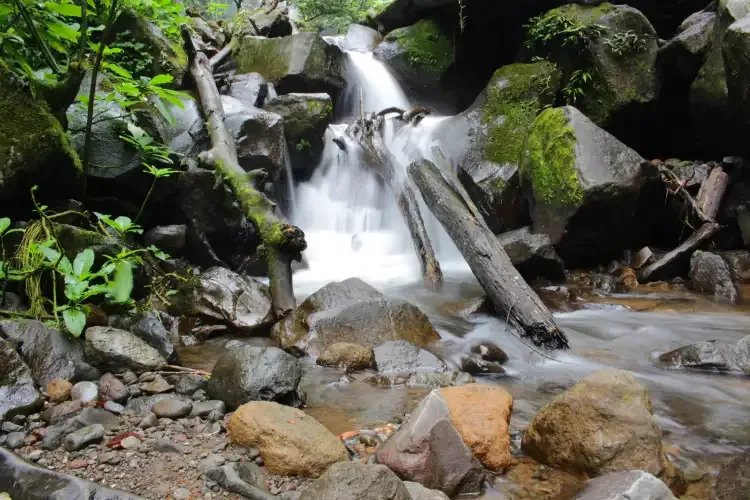Cikaracak Waterfall: Complete Guide to Bogor's Hidden Rainforest Gem Near Jakarta - Ekaputra