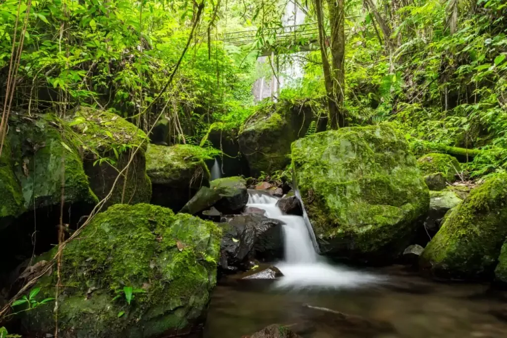 5 Stunning Waterfalls Near Jakarta (Hidden Gems + How to Get There) - Ekaputra