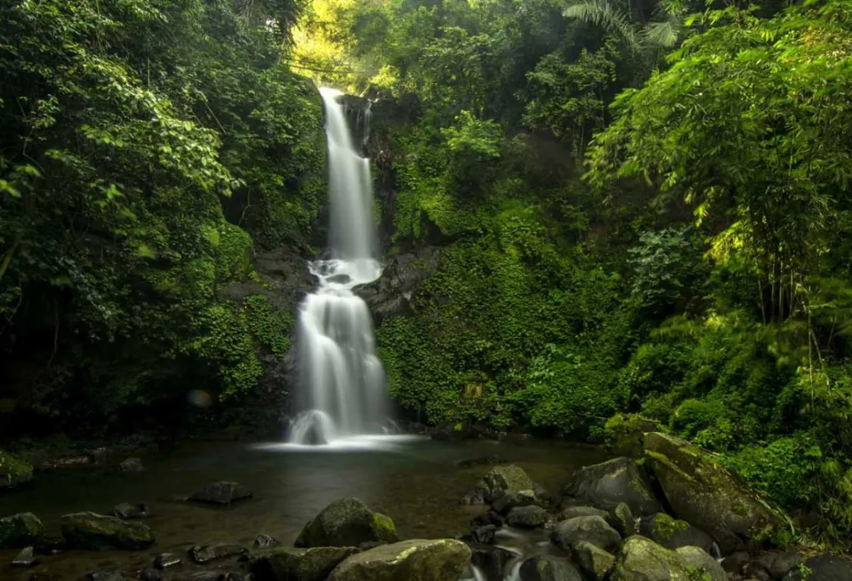 7 Jakarta Nature Spots Near Jakarta for Short Trip - Ekaputra