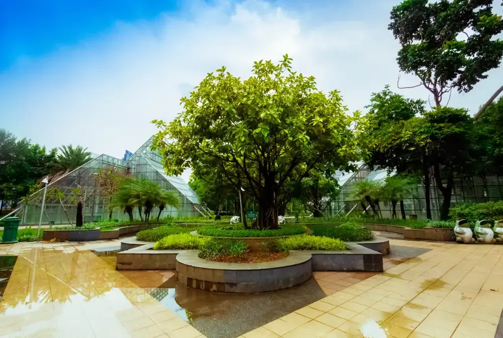 Jakarta Green Spaces: Where the City Finally Slows Down - Ekaputra
