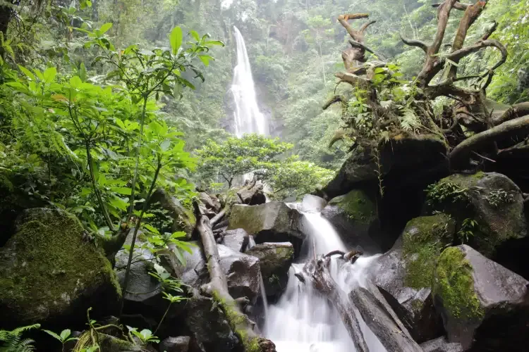 Cikaracak Waterfall: Complete Guide to Bogor's Hidden Rainforest Gem Near Jakarta - Ekaputra