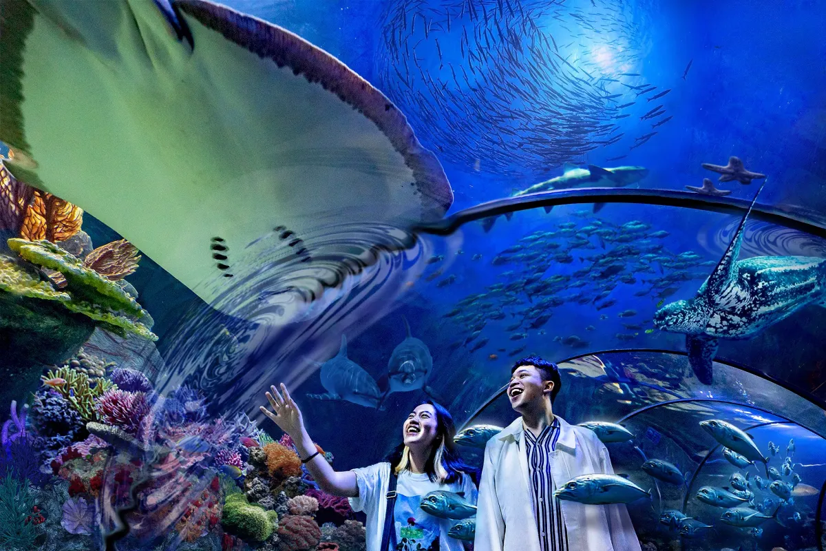 Ancol Dreamland Jakarta: Complete Visitor Guide (Dufan, Sea World, Beaches) - Ekaputra