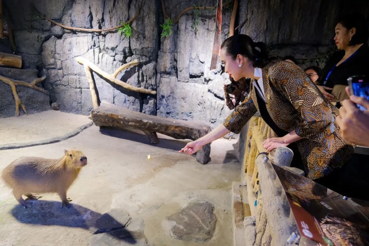 Jakarta Aquarium and Safari: Indoor Marine Experience Guide - Ekaputra