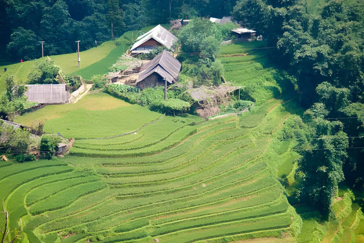 25 Things to Do in Jakarta: The Ultimate Guide for First-Time Visitors - Ekaputra