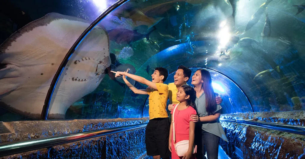 Best Time to Visit Jakarta for International Travelers - Ekaputra