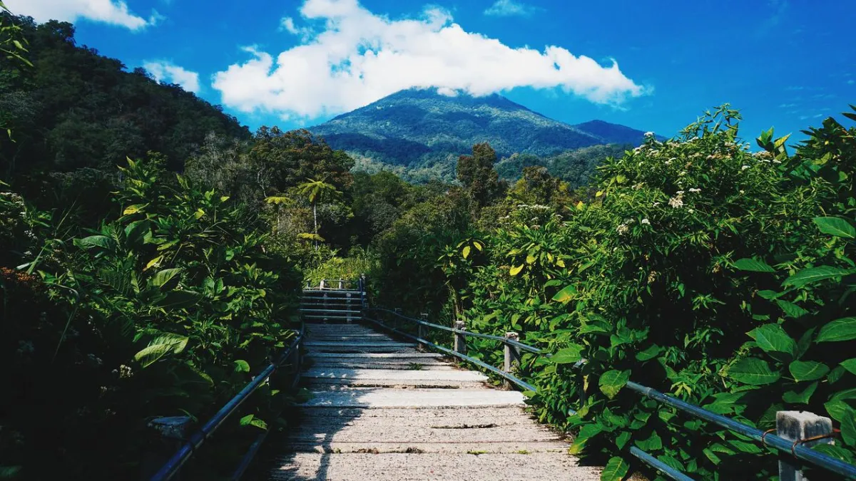 Rainforest Adventures Near Jakarta You Didn't Know Existed - Ekaputra